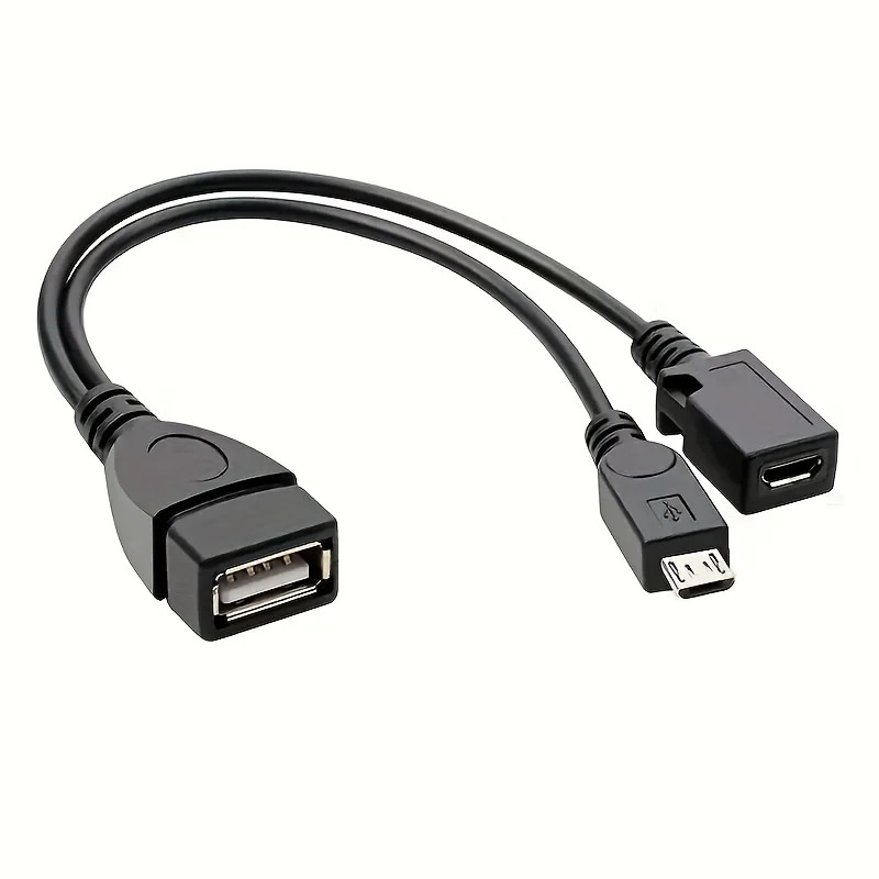 2-in-1 OTG USB to Micro USB Sp - Fire Tablet Accessories 评论和价格