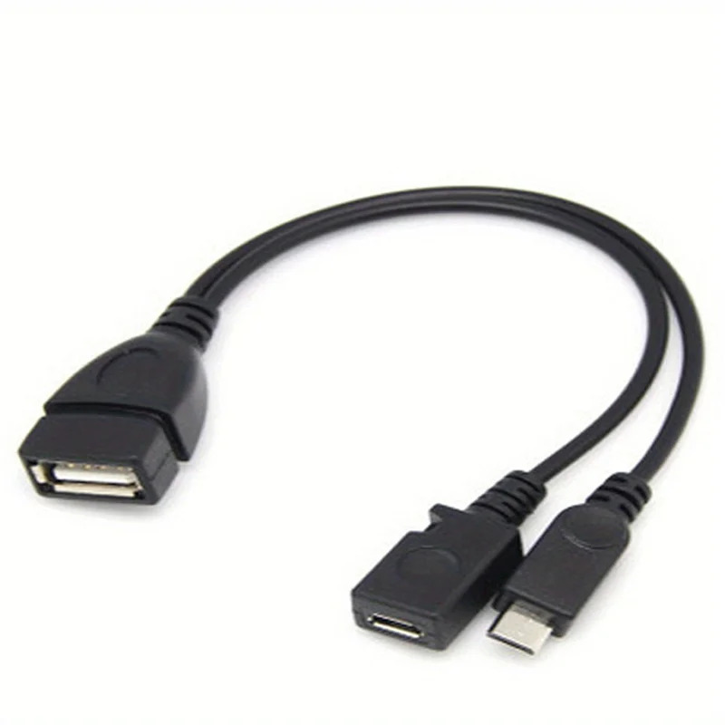 2-in-1 OTG USB to Micro USB Sp - Fire Tablet Accessories 评论和价格